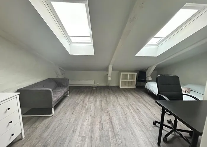 Single-Bed Rooms In Central Located Apartment In Trondheim